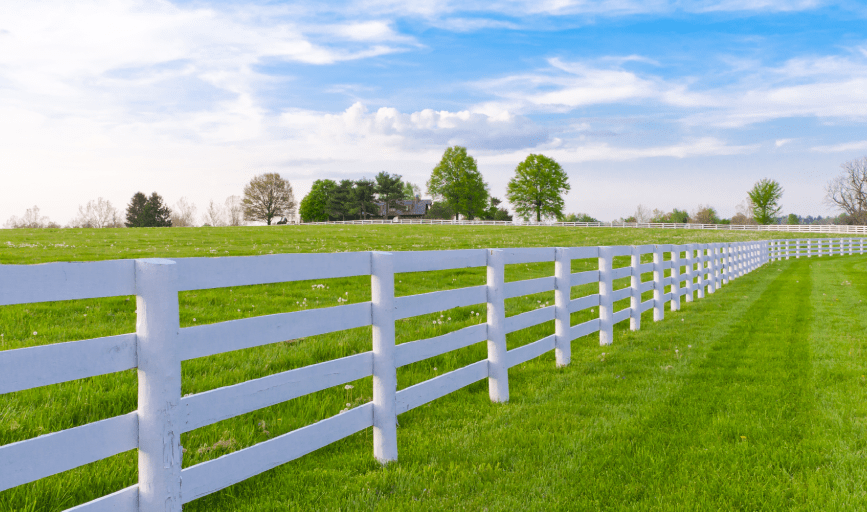 Fence Installation